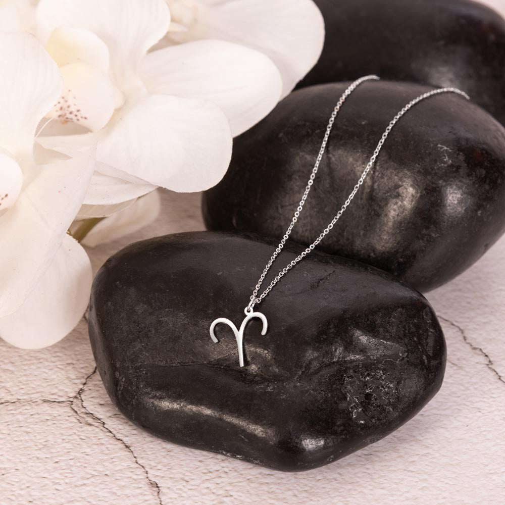 Stainless Steel zodiac charm necklace displayed on polished black rock.