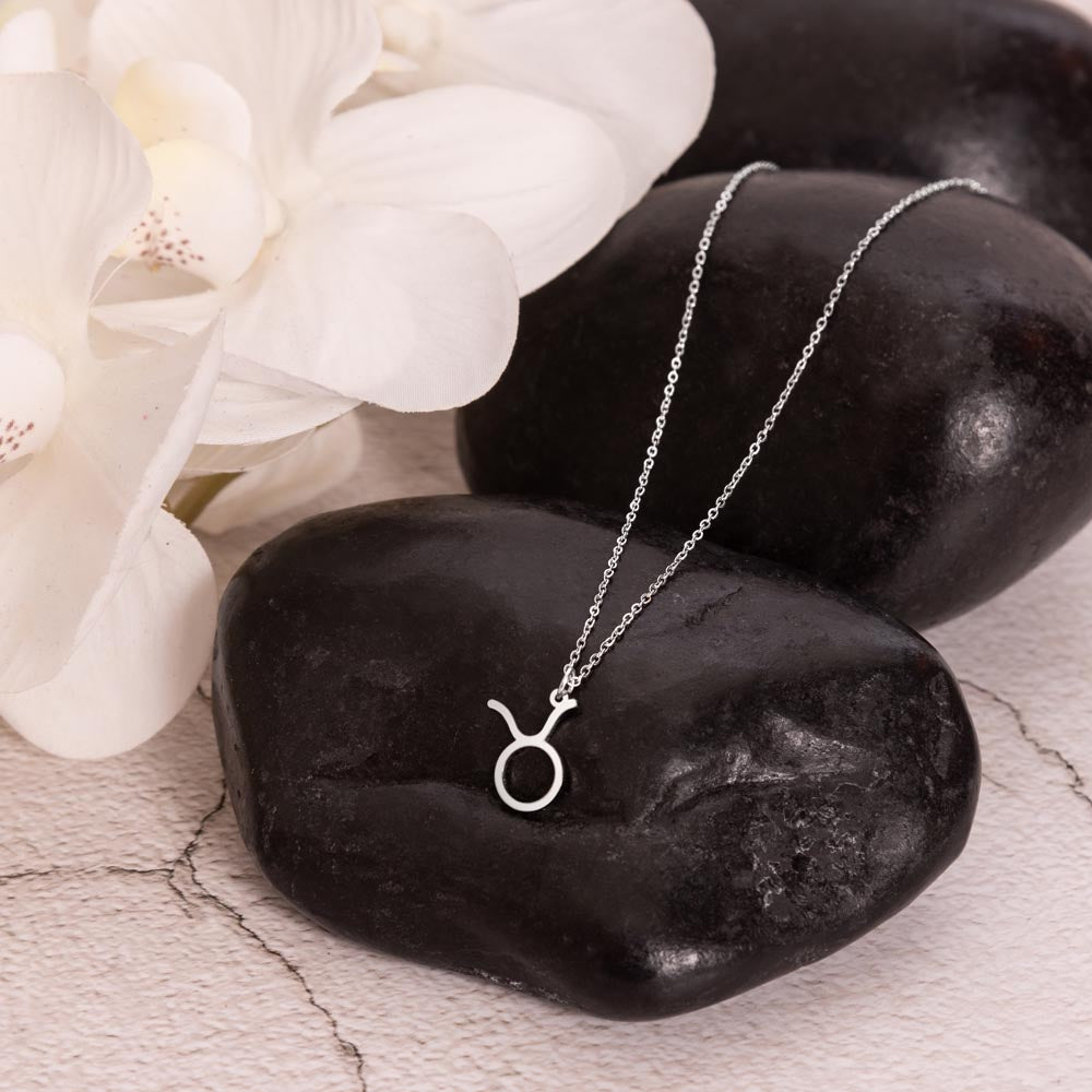 Stainless steel zodiac charm necklace displayed on polished black rock.