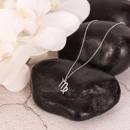 Stainless Steel Zodiac charm necklace displayed on a polished black rock.