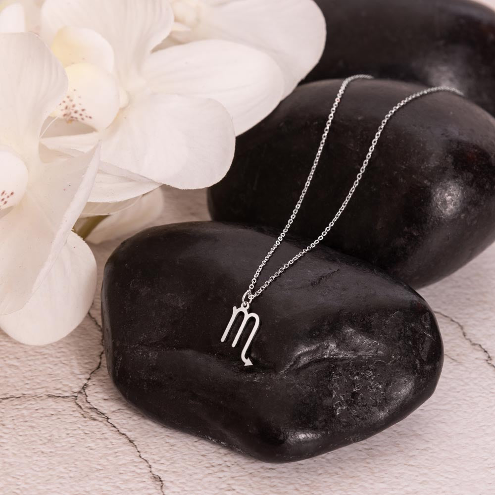 Stainless Steel zodiac charm necklace displayed on a polished black rock.