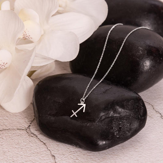 Stainless Steel zodiac charm necklace displayed on a polished black rock.