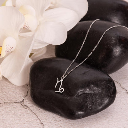 Stainless steel zodiac charm necklace displayed on polished black rock.