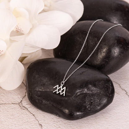 Stainless Steel zodiac charm necklace displayed on polished black rock.